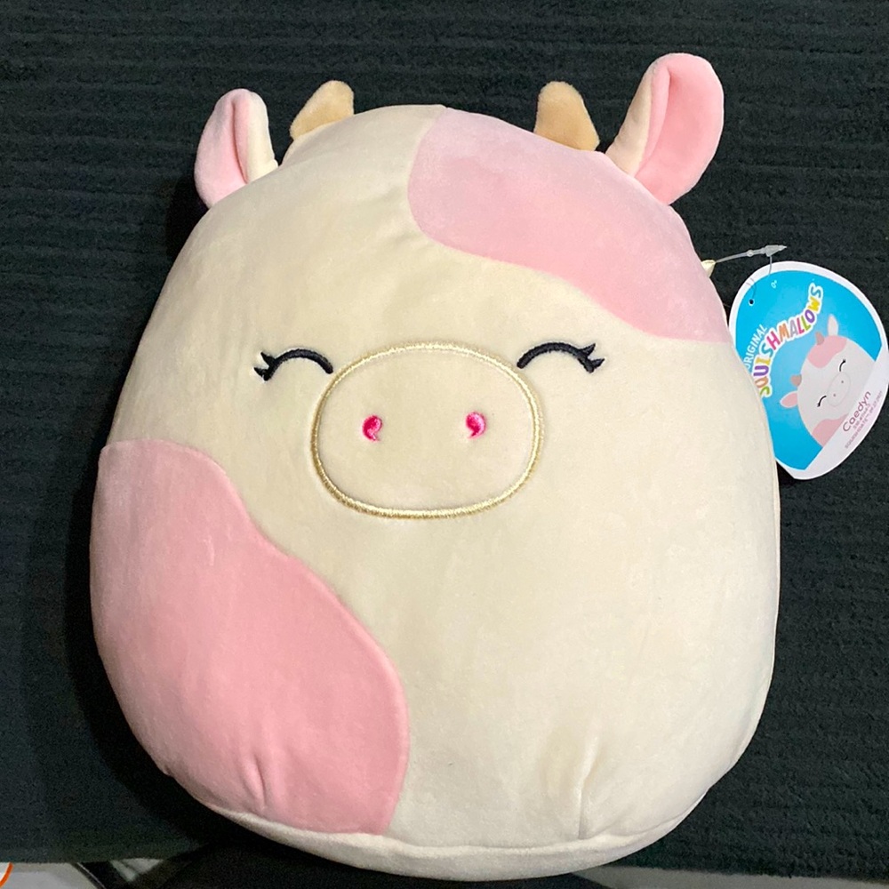 Squishmallow caedyn💕!